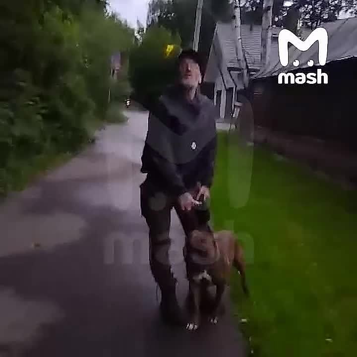         ,          