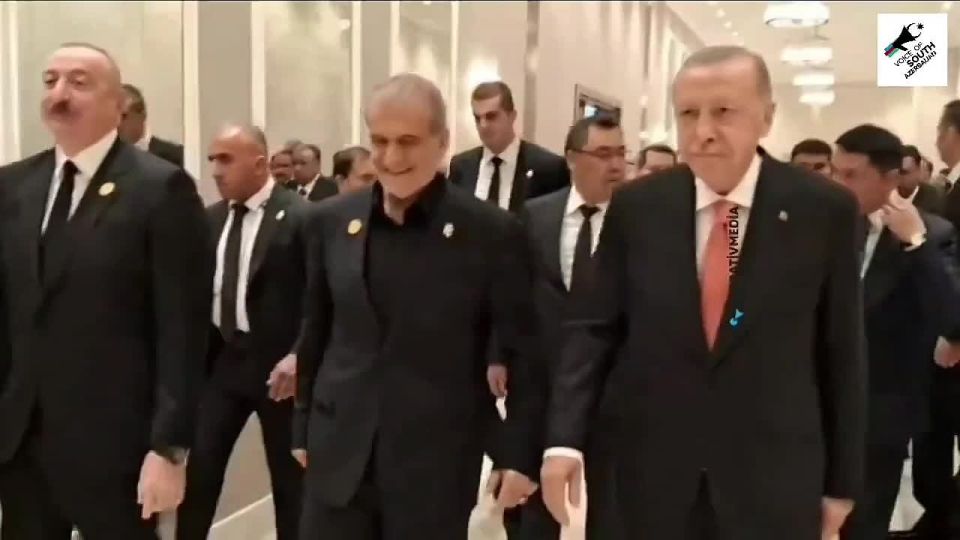  :  12          ,               -...
