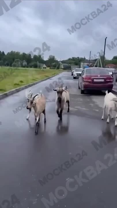    :          