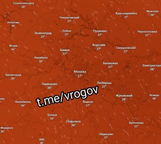  : :   42C.        11 ,   ,    4042C