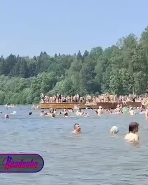   :    ,   ,      ,   