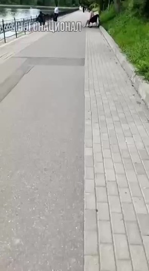 &quot; &quot;.      ,    ,          