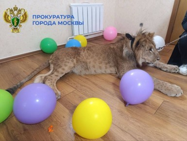      :      ,     ,   