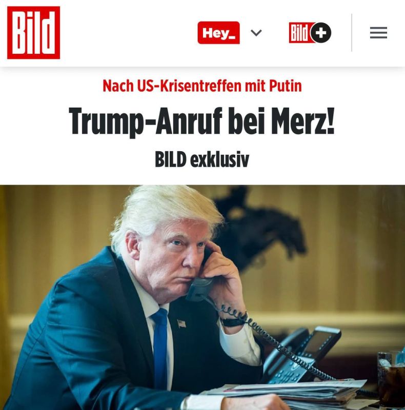         : Bild ,      ,  ,       