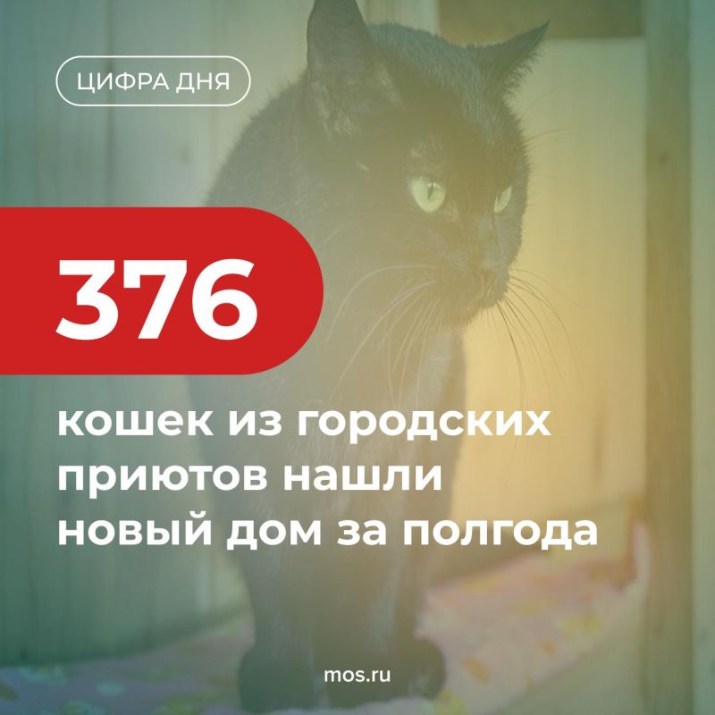 376        