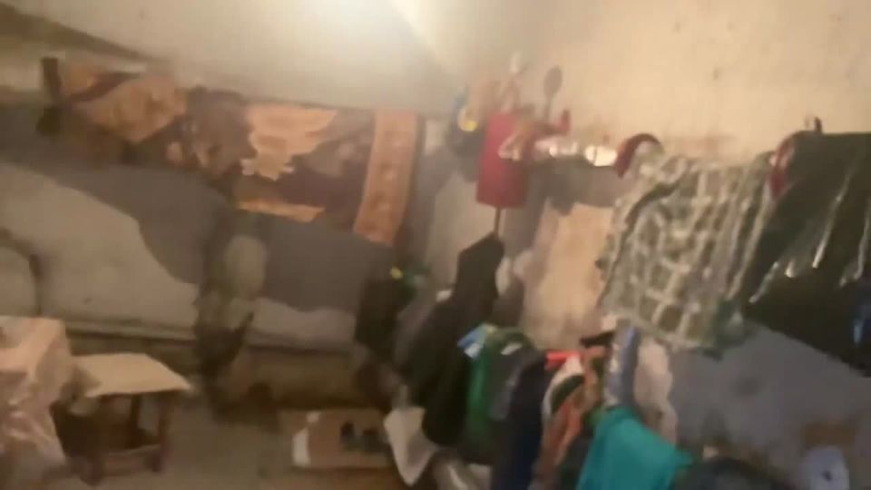    :        