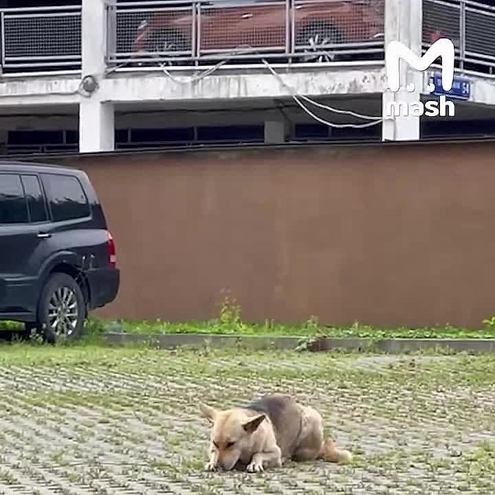 ,  