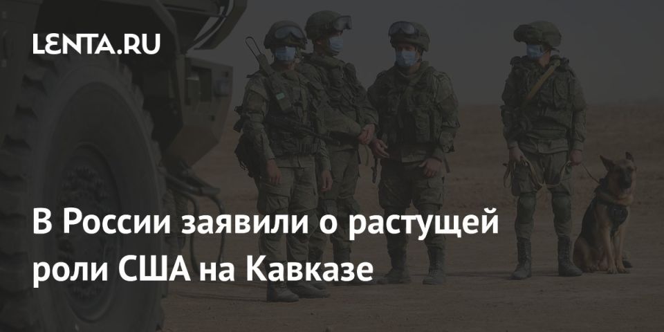 Lenta.ru:  :         