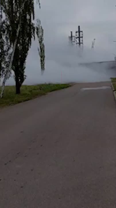    :.                            ...