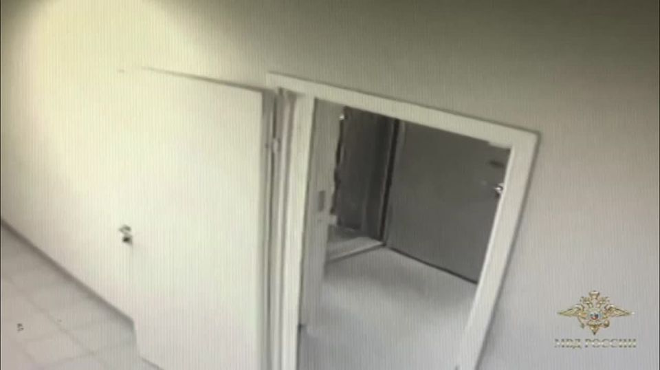 ,    ,         