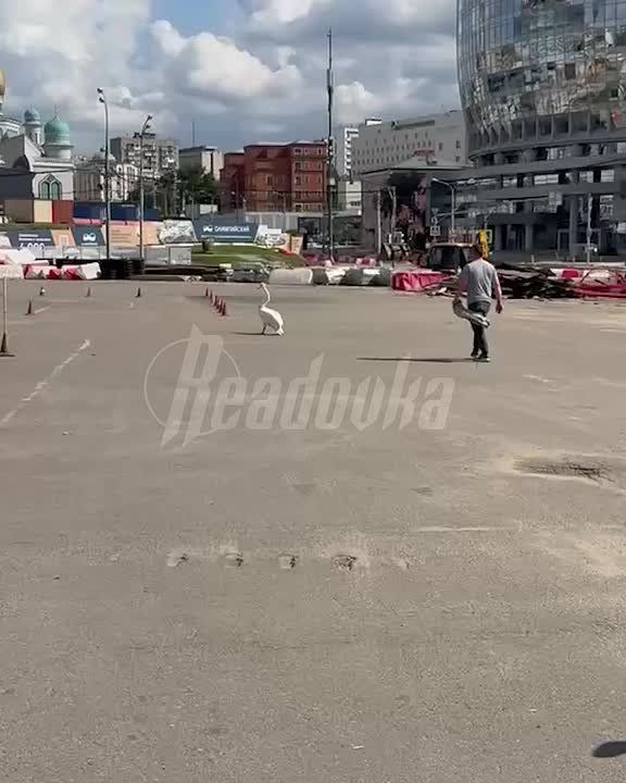     ,              