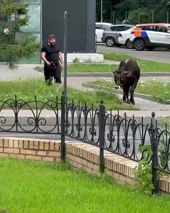 ,     :       