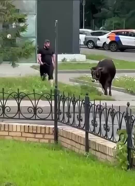     !
