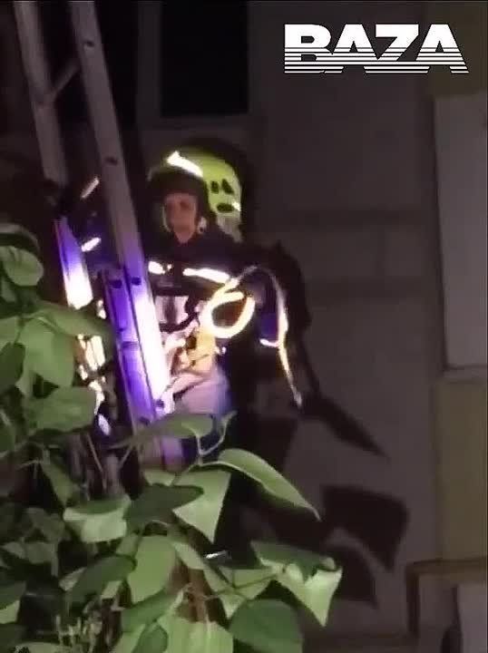           ,    