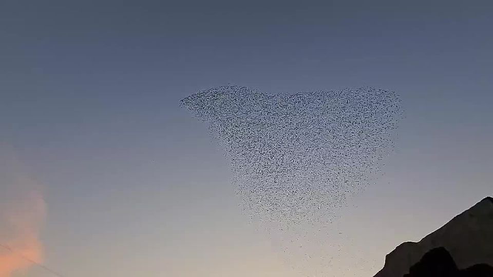   ,    