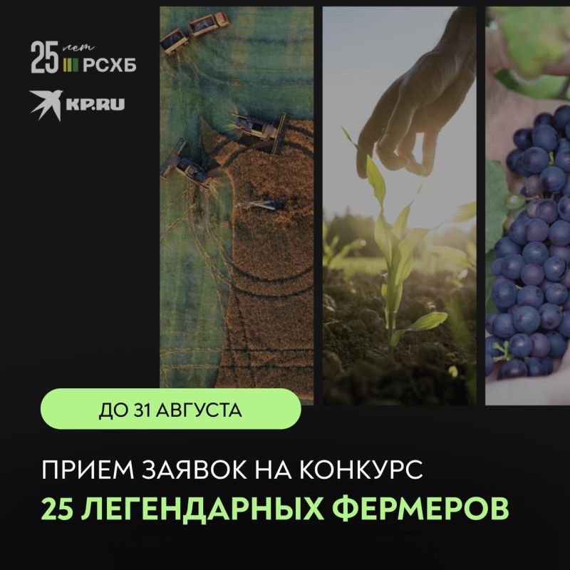 ,  !.  31       25  !      ,     ,    ,  ...