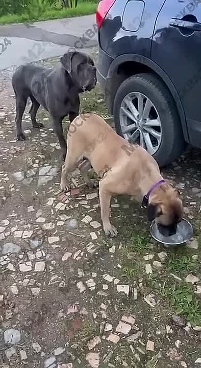 ,   !