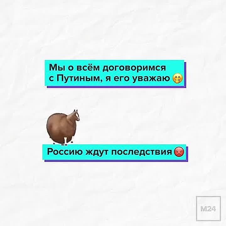   ,           
