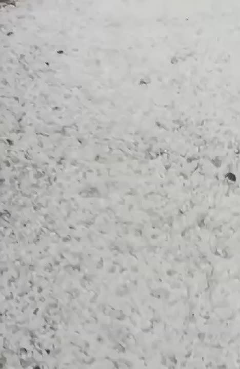 ,  ...:    -        