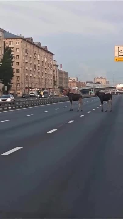   !      