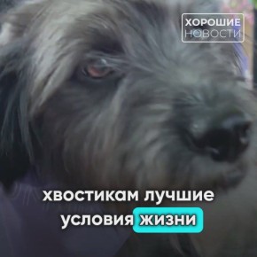            !