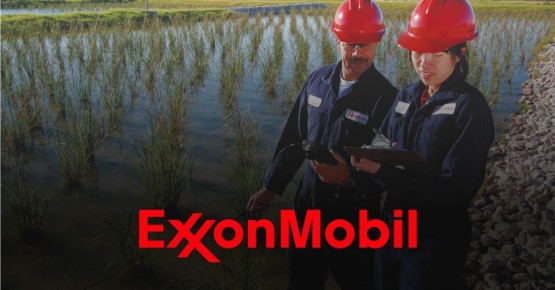  :  :   ExxonMobil    