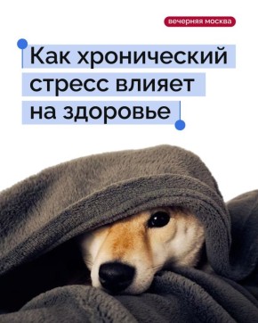   ,     ,         ?