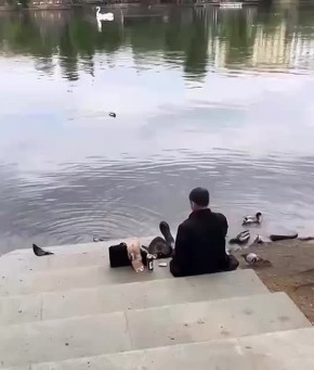  :        