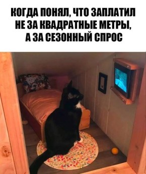          20%