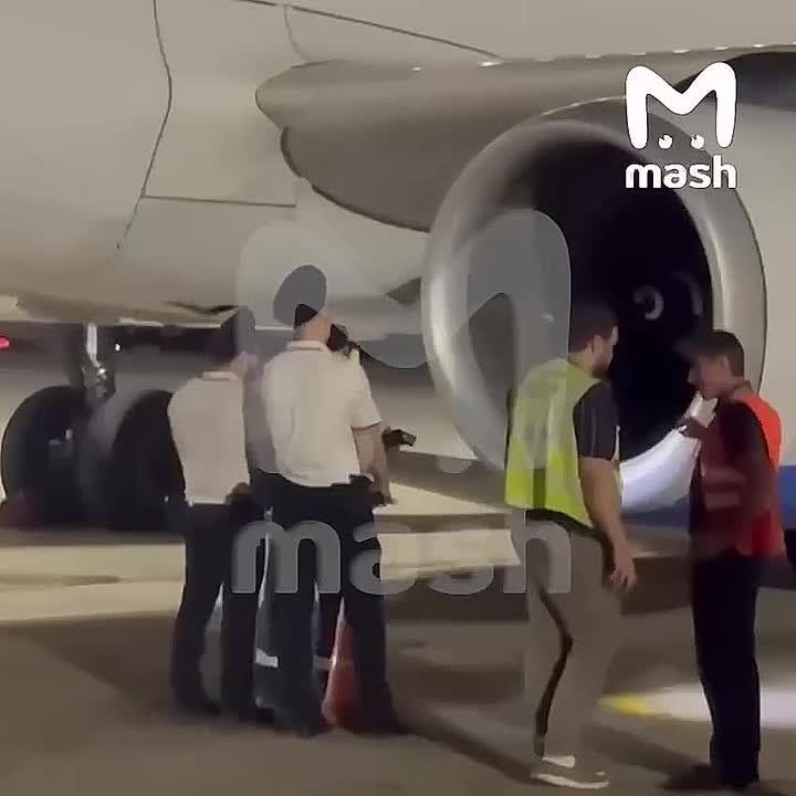   ,      ,   
