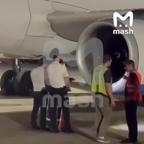   ,      ,   