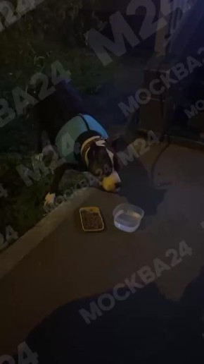 -              44,  1.  ,     