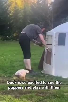  :        