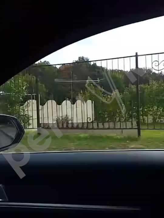  :        ,    . -    ,       