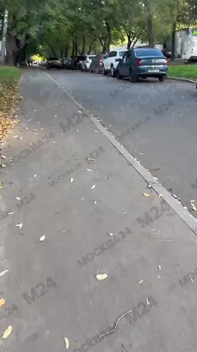 Не знаем, как описать это авто-чудо в Вешняках, но не можем не показать