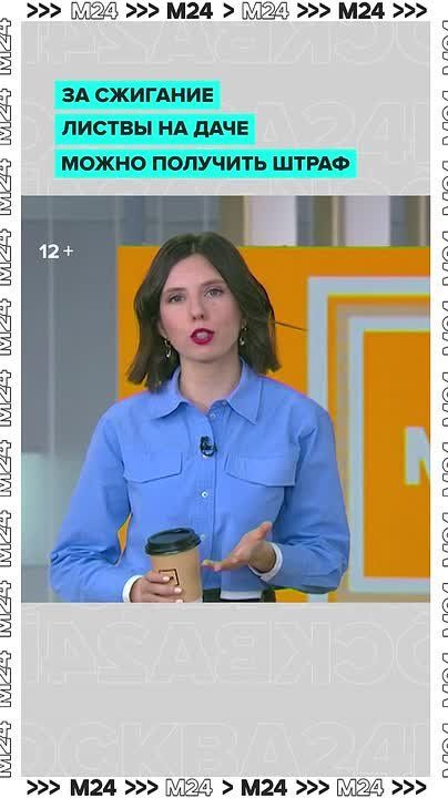 Дачники, хотим уберечь вас от штрафа: на него можно нарваться, если сжигать листву и ветки на участке