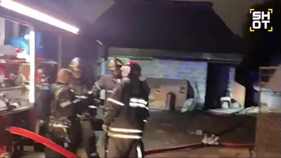 13 собак погибли в результате пожара в приюте для бездомных животных на севере Москвы