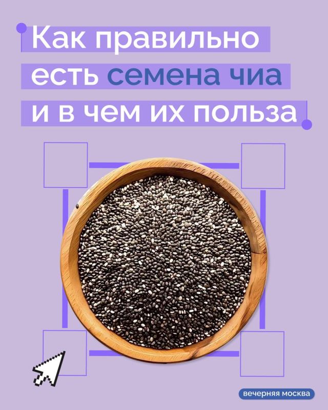 Семена чиа — суперфуд, который уже несколько лет популярен среди тех, кто следит за питанием, но, как и у любого другого продукта, у него есть свои плюсы и минусы