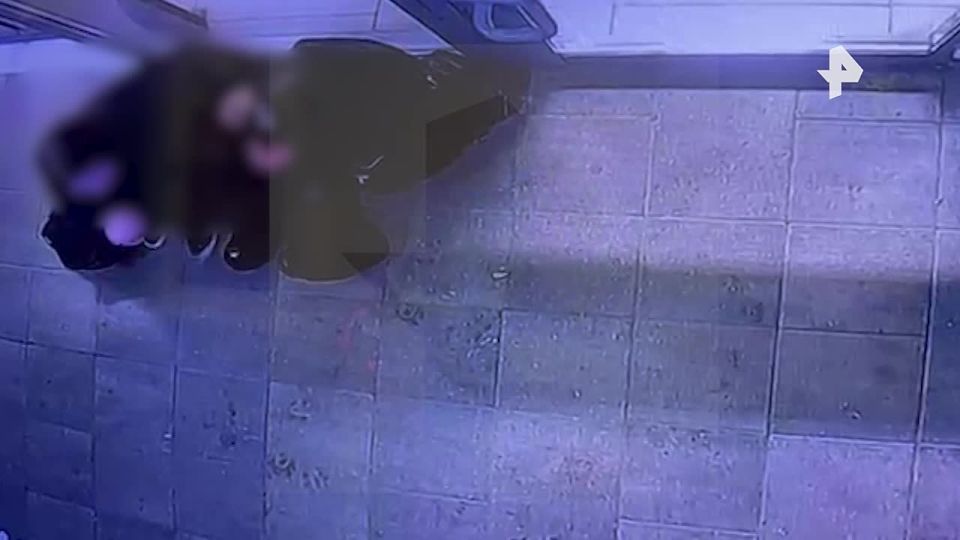     ,      