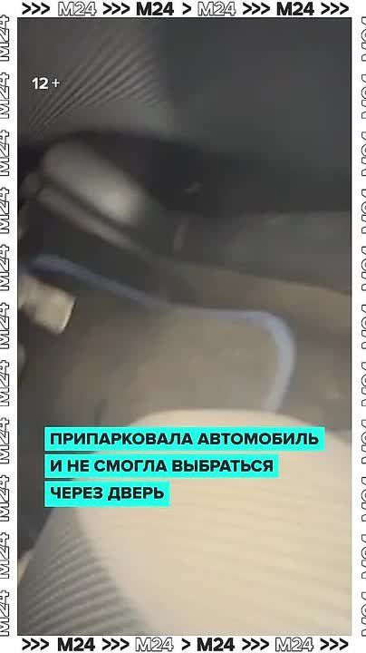   ,     ,      :      