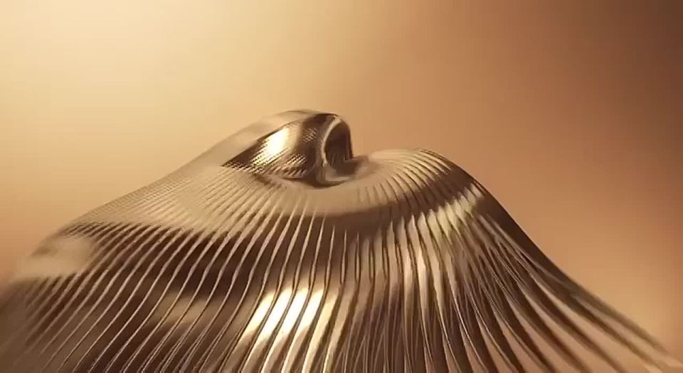  -  - ,     15 