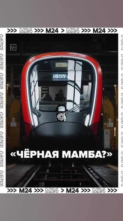 ׸            
