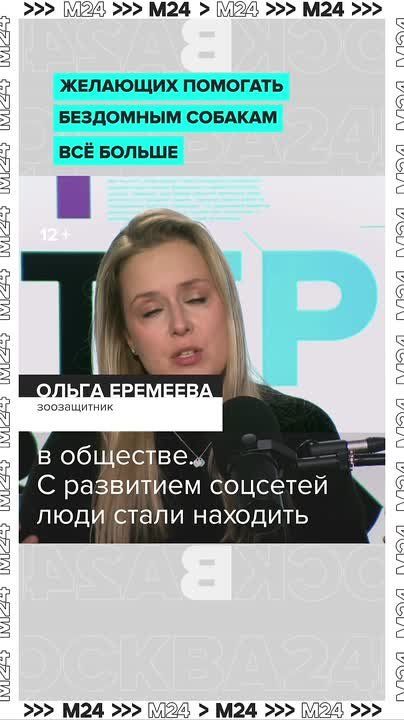 ,  :      