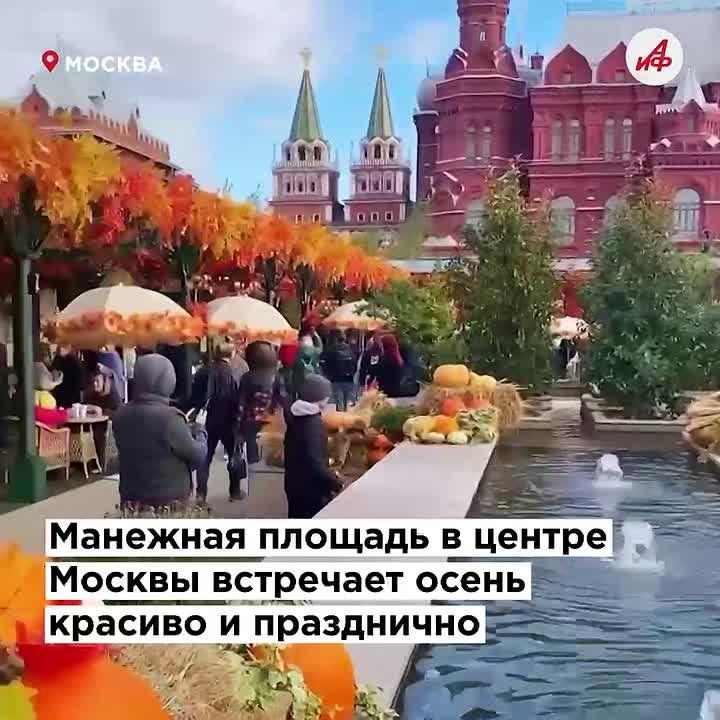    :      