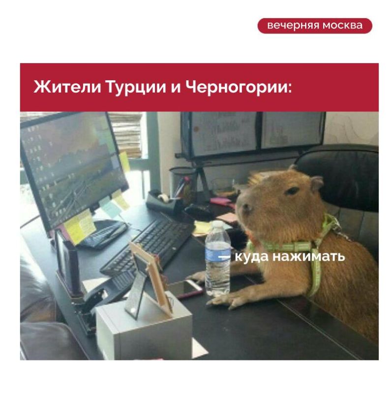 Жители Турции возглавили рейтинг трудолюбия