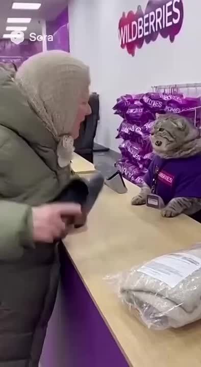   !        