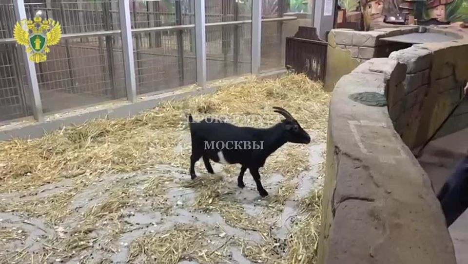        ,   . ,    , -      ...