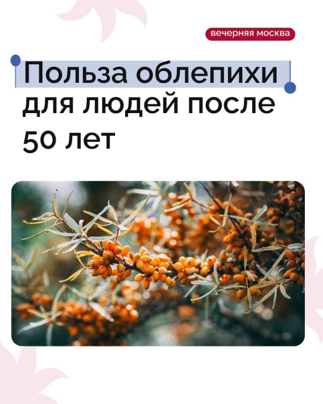 Облепиха полезна женщинам после 50 лет для поддержания молодости кожи, укрепления волос и ногтей!