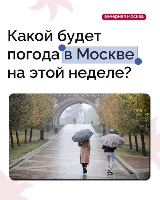 Кто надеялся увидеть еще солнце — плохие новости: осень в столичном регионе возвращается к привычным для этого времени года погодным условиям