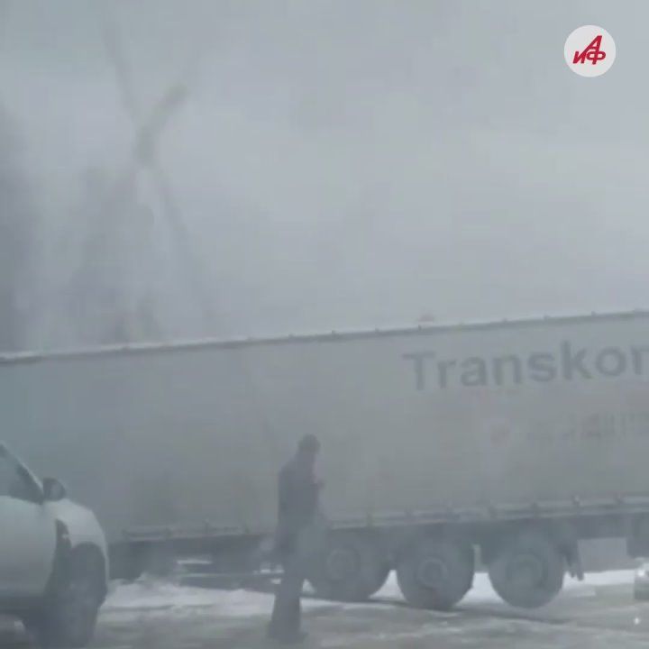 «На дорогах жесть!»: мощный снегопад парализовал движение на трассе до Уфы